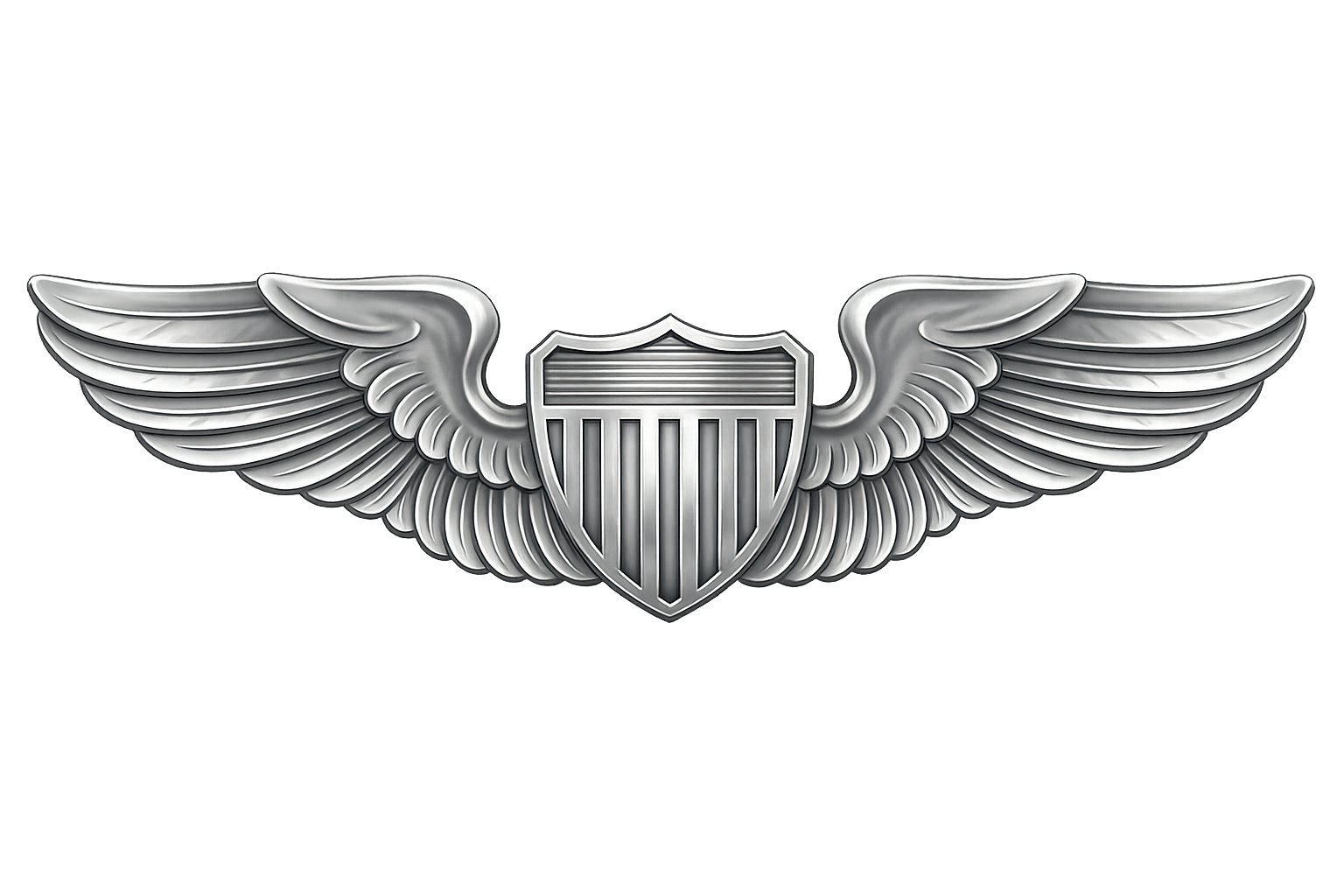 Air Force Wings