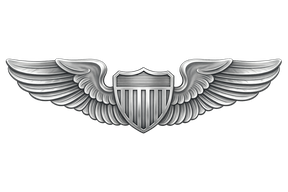 Air Force Wings